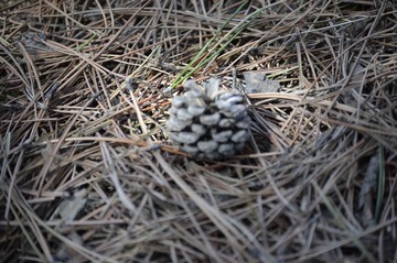 _DSC0286.JPG