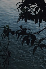 F5773988-B0C5-416E-A85B-E47115D86B6C/L0/001