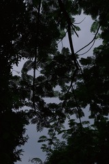 0EBD9F3A-0BB7-4899-8B6F-71D1753ECCD8/L0/001