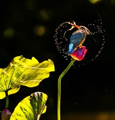 958