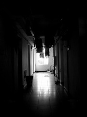 IMG_6530_副本.jpg