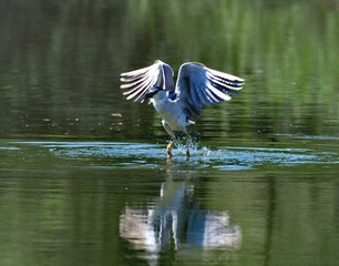 7890
