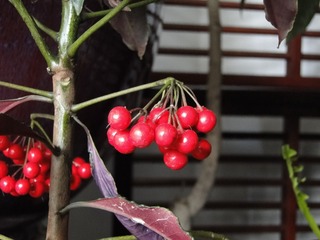 F7996861-989A-4FEF-A851-06DD6D89CA64/L0/001