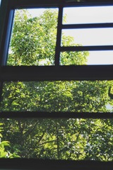 C81D09ED-FA56-46C6-8A97-49F7C4007087/L0/001
