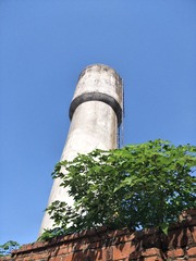 2561602