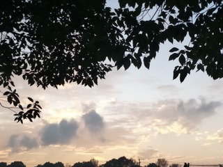 2509212