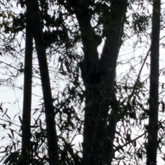 2538633