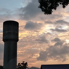 2509216