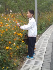 WP_002418