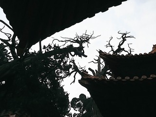 250855