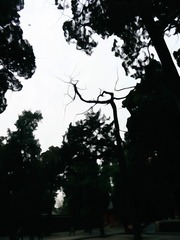 250752