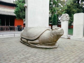 250743
