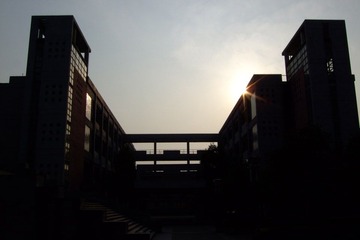 DSCF1376.JPG
