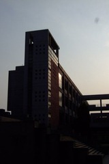 DSCF1378.JPG