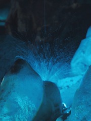 30427