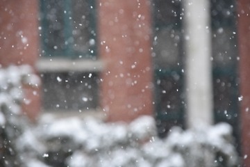 D28985C5-C355-4011-841B-B4D29885D8F2/L0/001