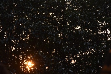 57CCEB91-7B3B-448F-8ACD-C7E733D47525/L0/001
