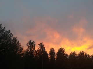 1353017