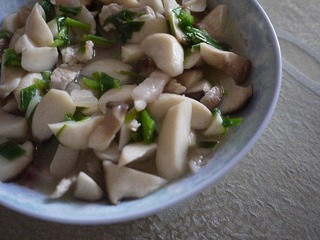 P1000366.JPG