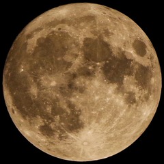 7195A655-2009-4C0F-8D87-4C4E19509C40/L0/001