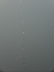 119106