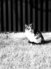 130505