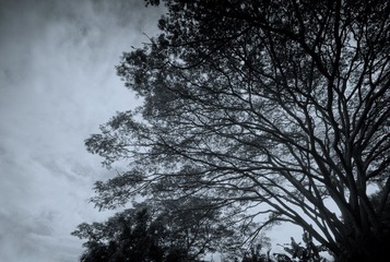 DSC_4443.jpg