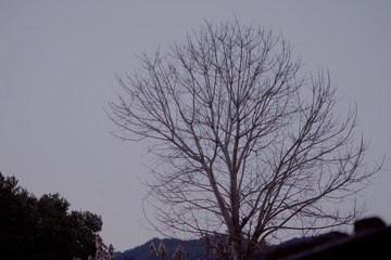 DF9A68F9-D5ED-4995-8FCB-0577A9875128/L0/001