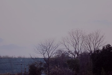 C8256956-414C-44D4-9A08-3DC0AF533B51/L0/001