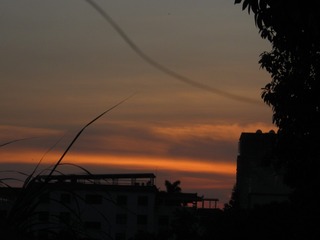 8BCF9FC3-8C2C-4908-A6D2-C861979081B8/L0/001