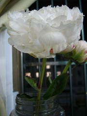 9EEB6747-544A-4E61-BB37-56682B7EEEAE/L0/001