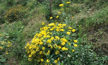 2012-08-26 12.43.27.jpg