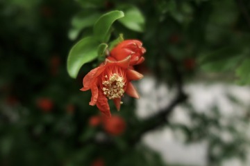 tmp_0e7768b18471791a0d14f47b5a161a96