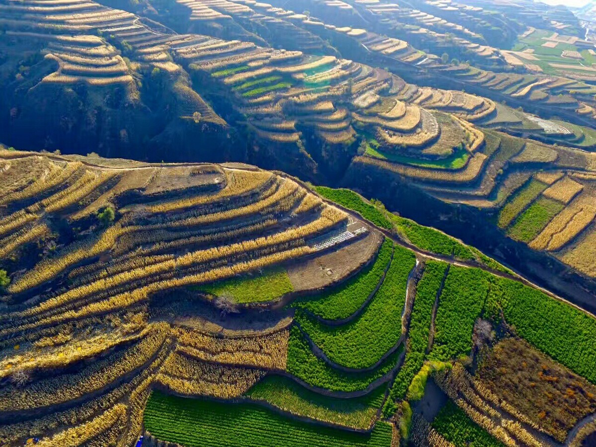 黄土地背景图片