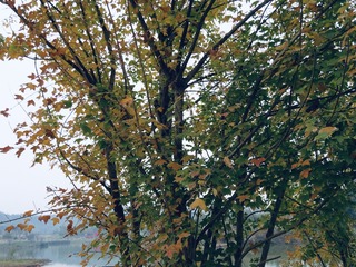 B87F87C1-45EE-4021-A7BE-FC34DA128535/L0/001