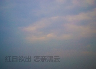 DSC_0383-1_副本.jpg