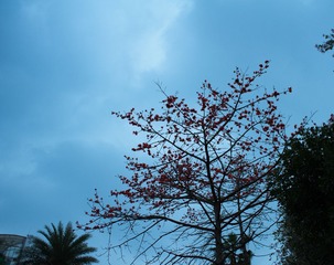 IMGP9912.jpg