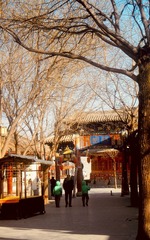 3A14D14E-CA61-4AEE-A2E5-D97FF2C57912/L0/001
