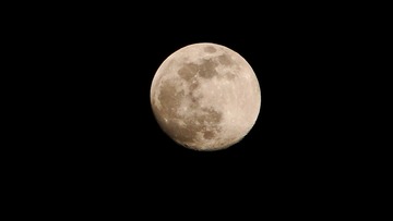 292F14E9-5B2C-415E-9504-7723DC9D3184/L0/001
