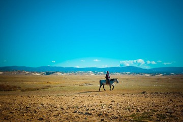 IMG_1908.jpg