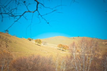 IMG_1956.jpg
