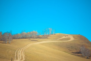 IMG_1963.jpg