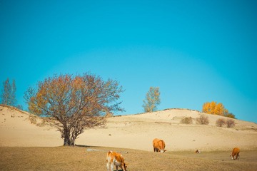 IMG_1974.jpg
