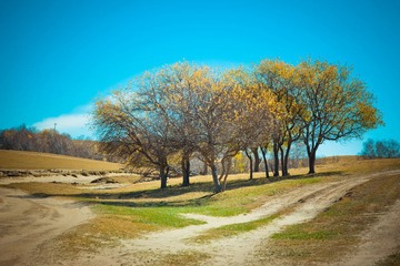 IMG_1964.jpg