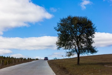 IMG_1691.jpg