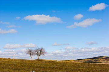 IMG_1693.jpg