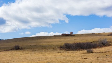 IMG_1742.jpg