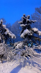 876B33B4-C787-46D7-9C3A-9895C22512D1/L0/001