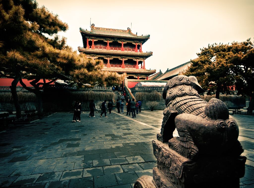 【你好，盛京】镇守<br />
这背影真是又萌又伟岸~