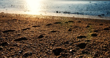DSC_2211图虫.jpg